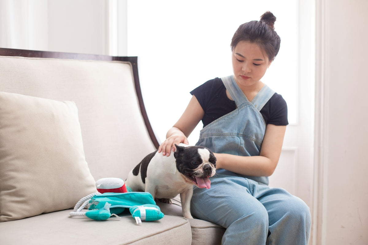 A woman pets her dog on a couch
