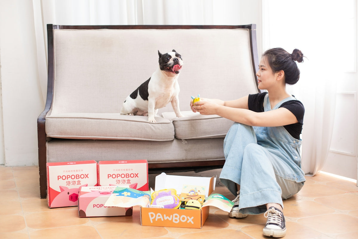 A woman plays with a dog near pet supply boxes