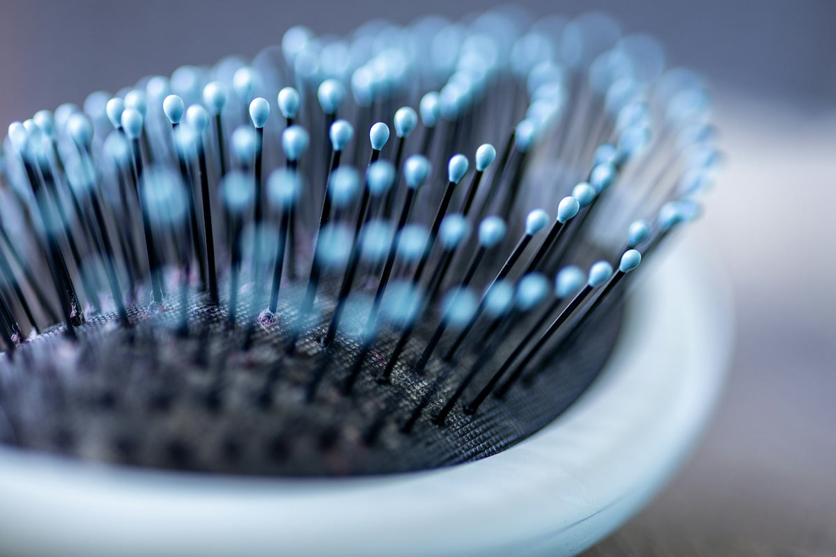 Macro view of a hairbrush with black bristles and light blue rounded tips