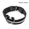 LED Luminous Pet Collar Adjustable Night Safety Glow