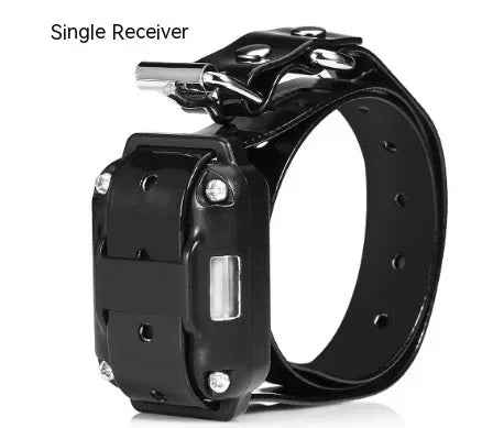 Remote Control Dog Training Collar Adjustable Pet Training Device