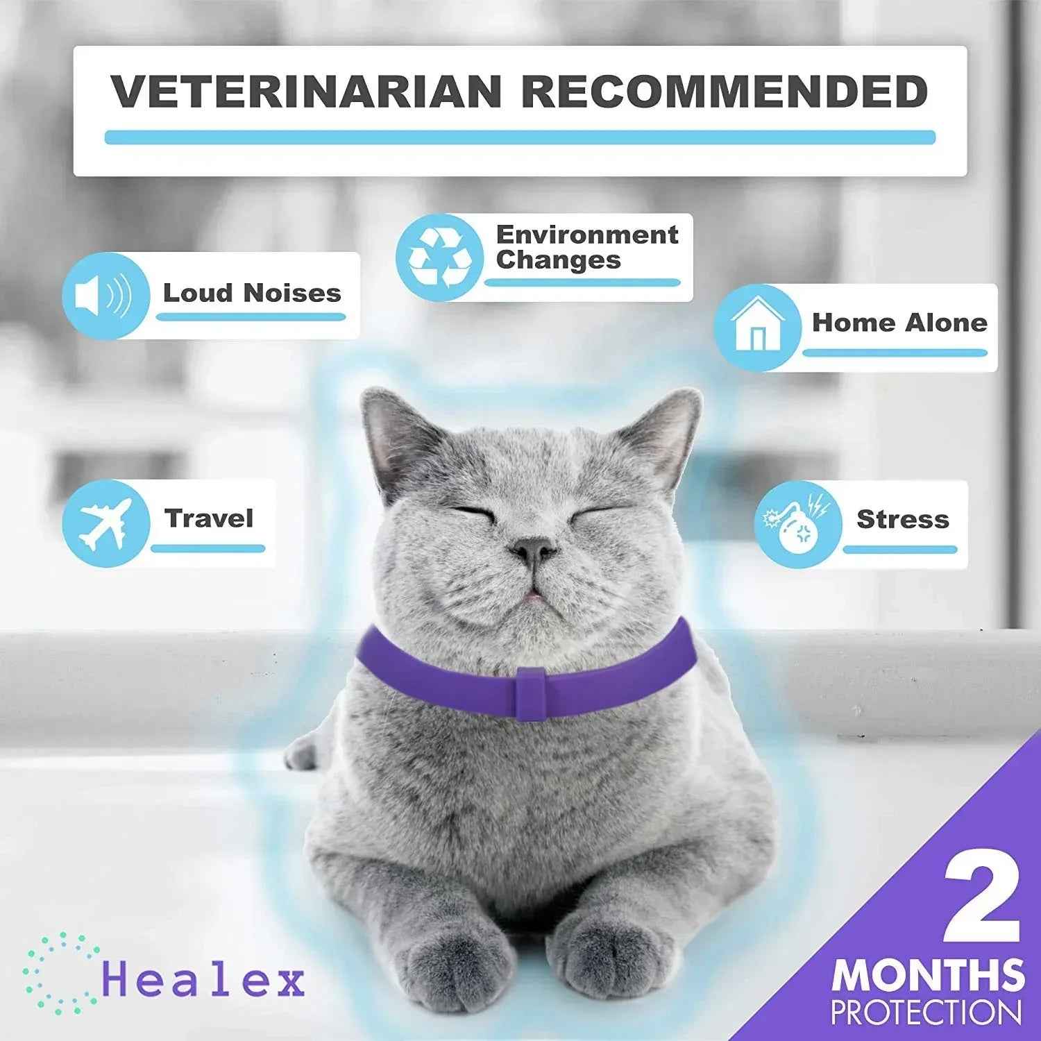 Cat Calming Collar Anti-Anxiety Comfort Pheromone Collar
