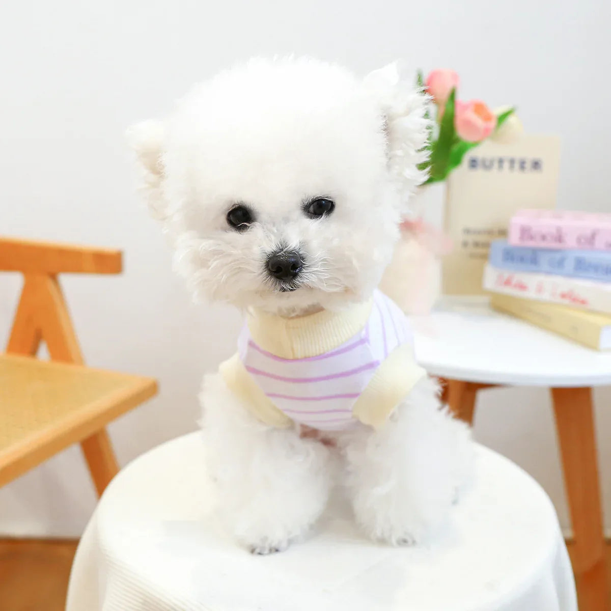 Gilet Antiscivolo per Cani