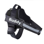 Personalized No-Pull Dog Harness Adjustable Reflective Vest