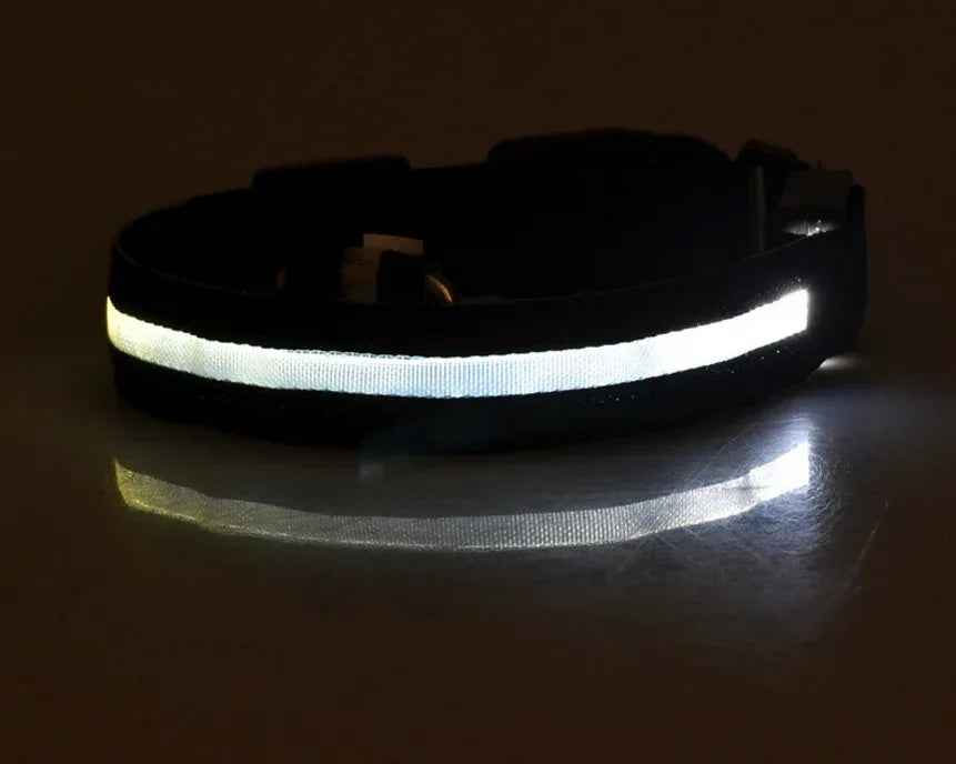 LED Luminous Pet Collar Adjustable Night Safety Glow