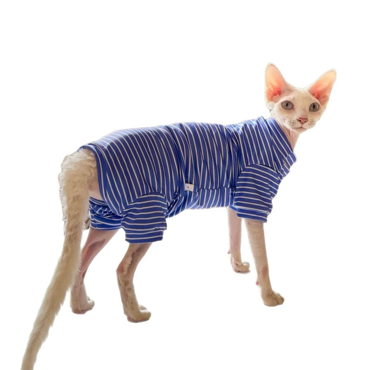 Abbigliamento traspirante sottile per gatti a quattro zampe Pet Cool