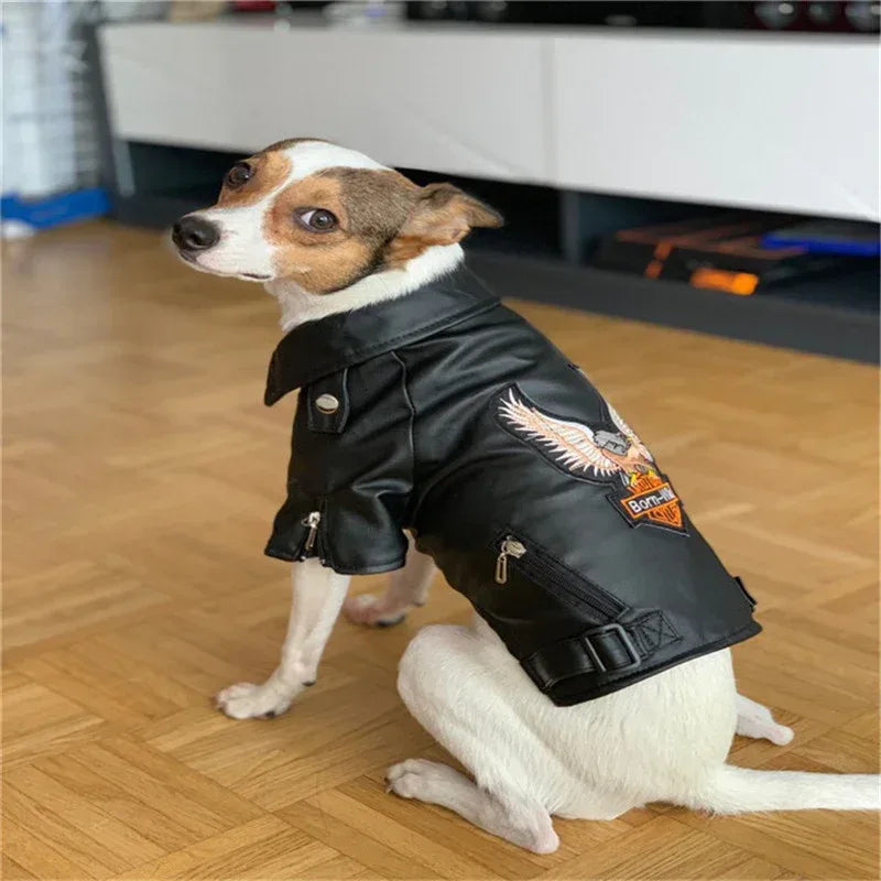 반려견용 스몰 도그 스티커 자수 독수리 가죽 재킷