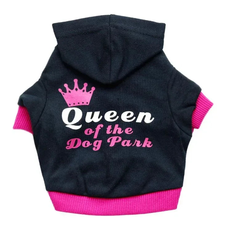 Quần áo thú cưng Quần áo chó Áo thun thú cưng VIP vải cotton 100% Áo Teddy