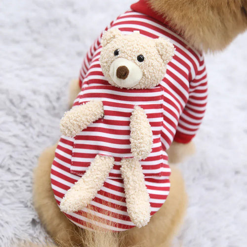 Vêtements pour chat et chien pour petit chien, pull mignon, printemps, chat, ours en peluche mignon
