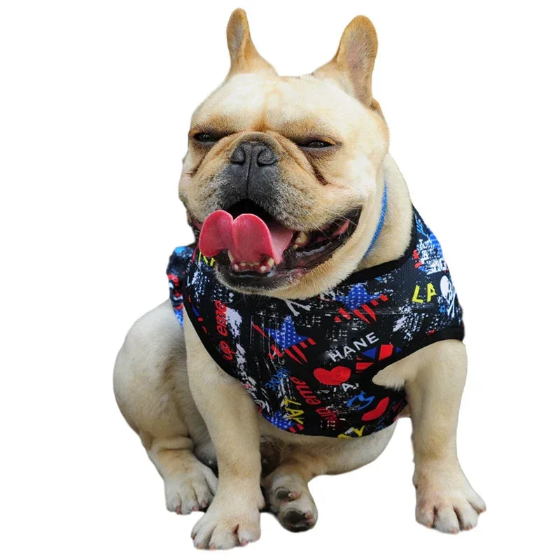 Abbigliamento Trendy Punk per Cani da Strada