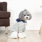 Small dog two-legged cat costume