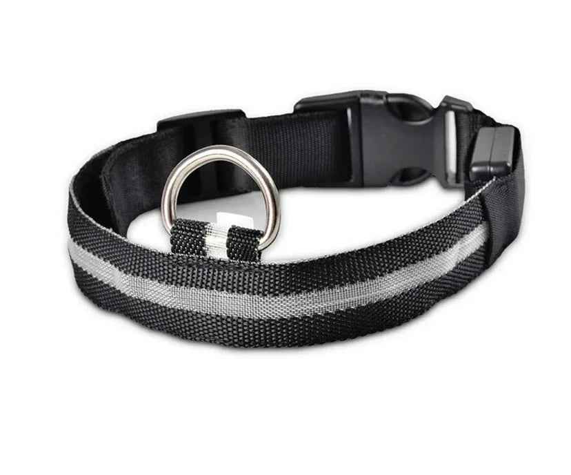 LED Luminous Pet Collar Adjustable Night Safety Glow