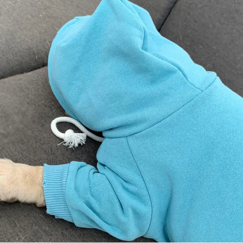 Animal de compagnie avec sweat à capuche en polaire