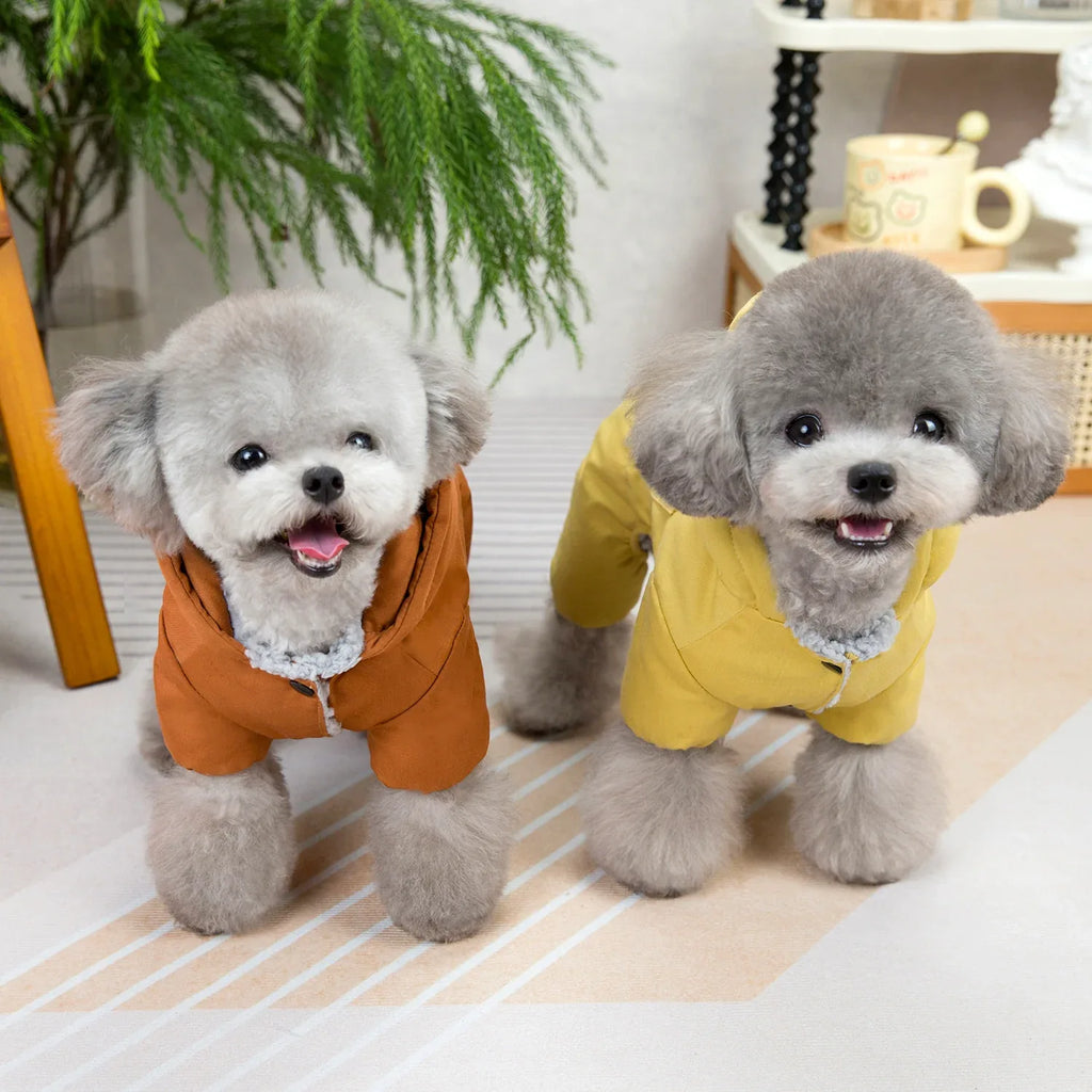 Fesyen Anjing Pakaian Baru Musim Luruh dan Musim Sejuk