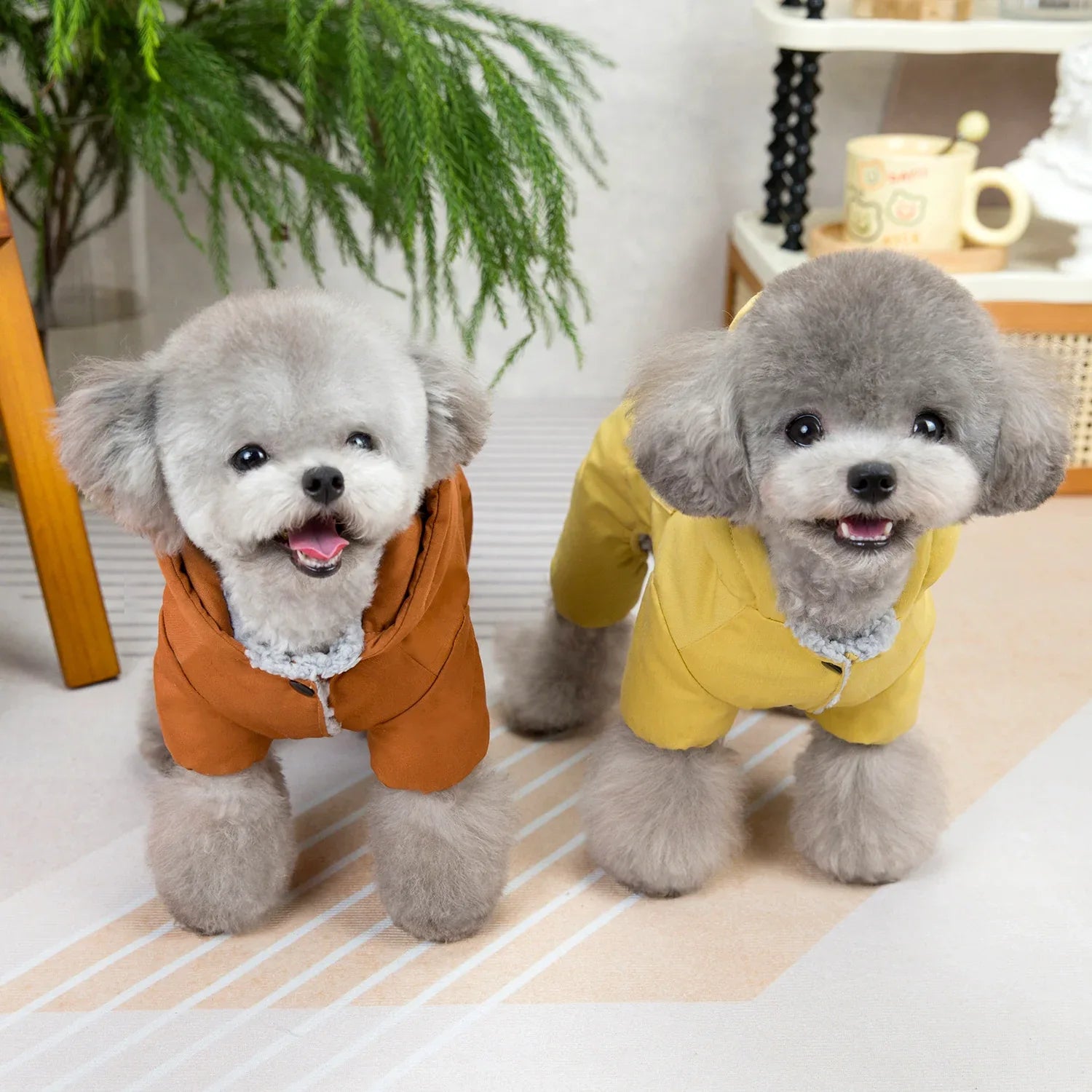 Moda per Cani Autunno e Inverno Nuovi Abiti