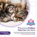 Cat Calming Collar Anti-Anxiety Comfort Pheromone Collar