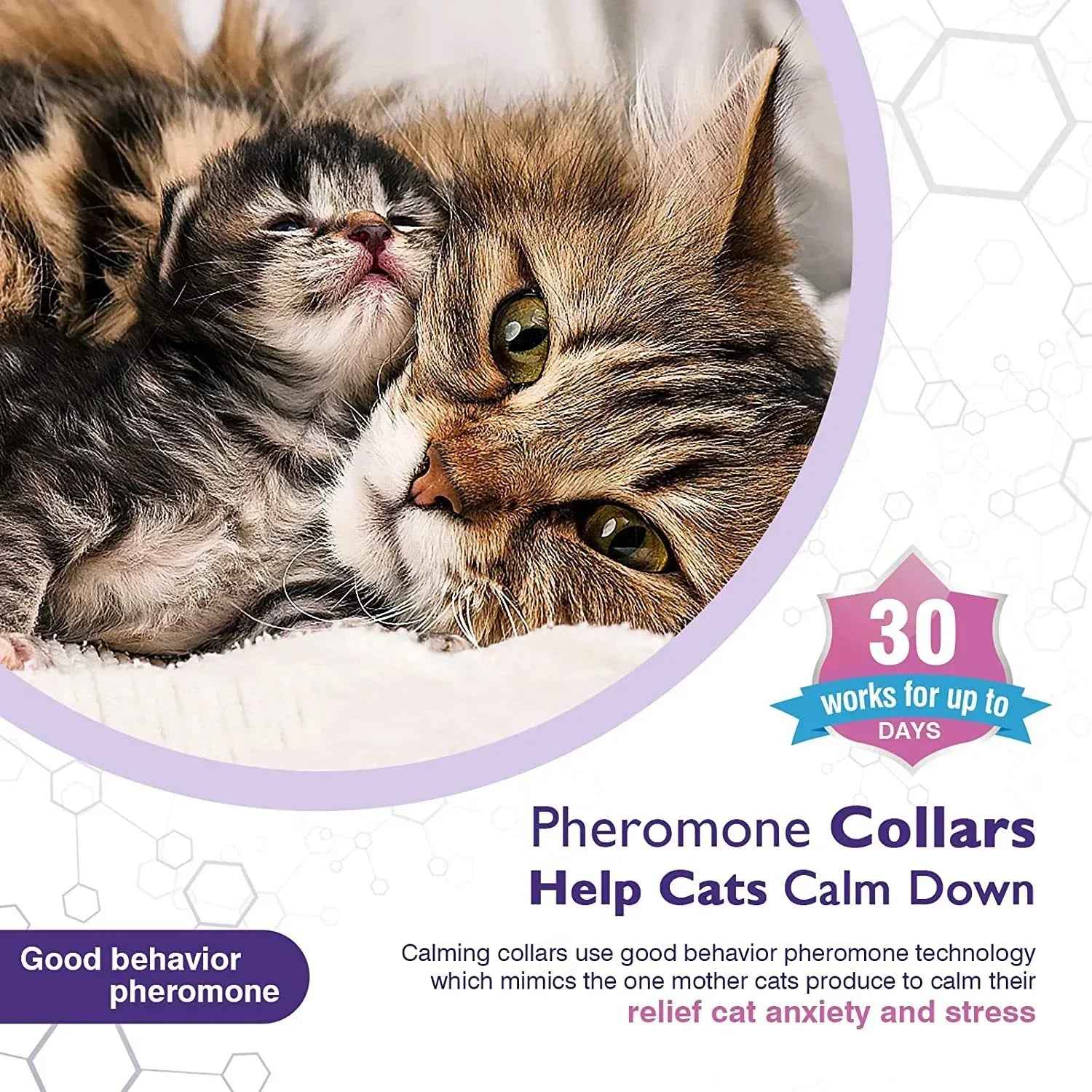 Cat Calming Collar Anti-Anxiety Comfort Pheromone Collar