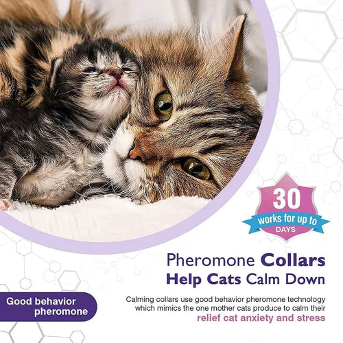 Cat Calming Collar Anti-Anxiety Comfort Pheromone Collar