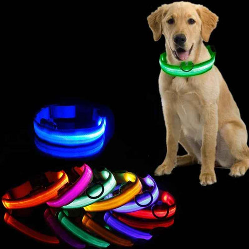 LED Luminous Pet Collar Adjustable Night Safety Glow