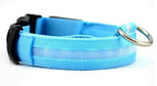 LED Luminous Pet Collar Adjustable Night Safety Glow