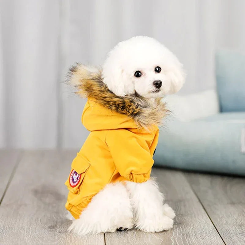 Quần áo chó cưng mũ len quần áo cotton
