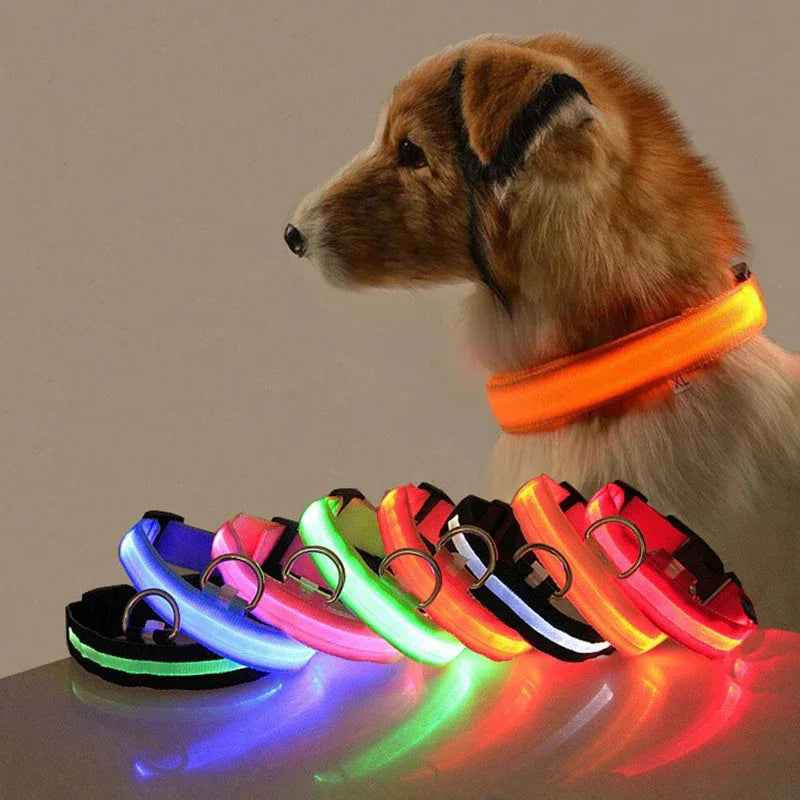 LED Luminous Pet Collar Adjustable Night Safety Glow