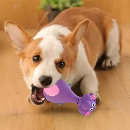 4PCS Latex Dog Chew Toys Squeaky Interactive Puppy Teething Toys