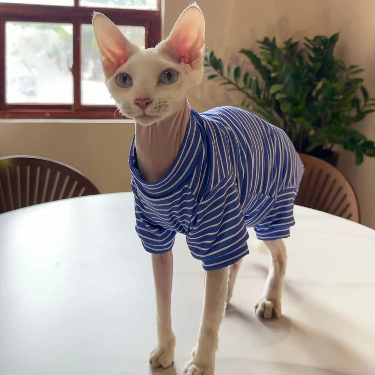 Abbigliamento traspirante sottile per gatti a quattro zampe Pet Cool