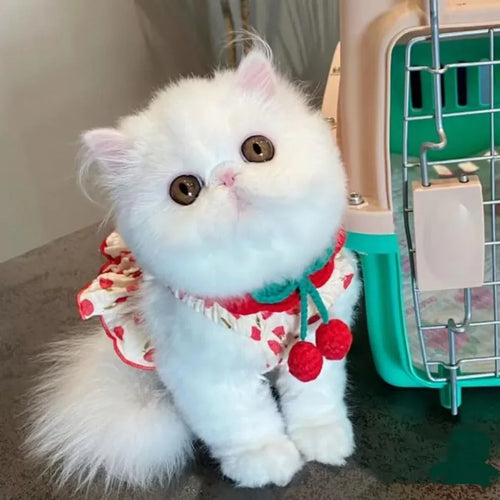Quần Áo Thú Cưng Chó Váy Yếm Mùa Hè