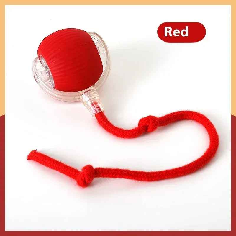 Interactive Cat Rolling Ball Toy with Smart Auto Drive