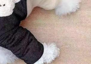 Manteau matelassé en coton pour caniche, doublé en polaire, à quatre pattes