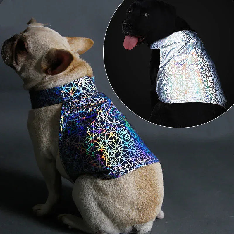 Abbigliamento riflettente per animali domestici