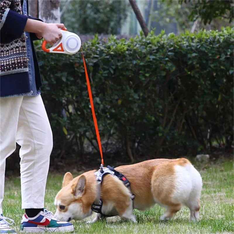 Retractable Dog Leash with LED Light & Collar Set