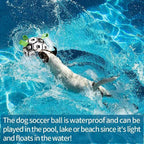 Interactive Dog Soccer Ball Toy for Large & Active Dogs