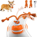 Pet Ball For Dogs Interactive Toys Motion Activate Rolling Ball For Puppy Small Dogs Automatic Moving Toy USB Rechargeable Toy Pet Products