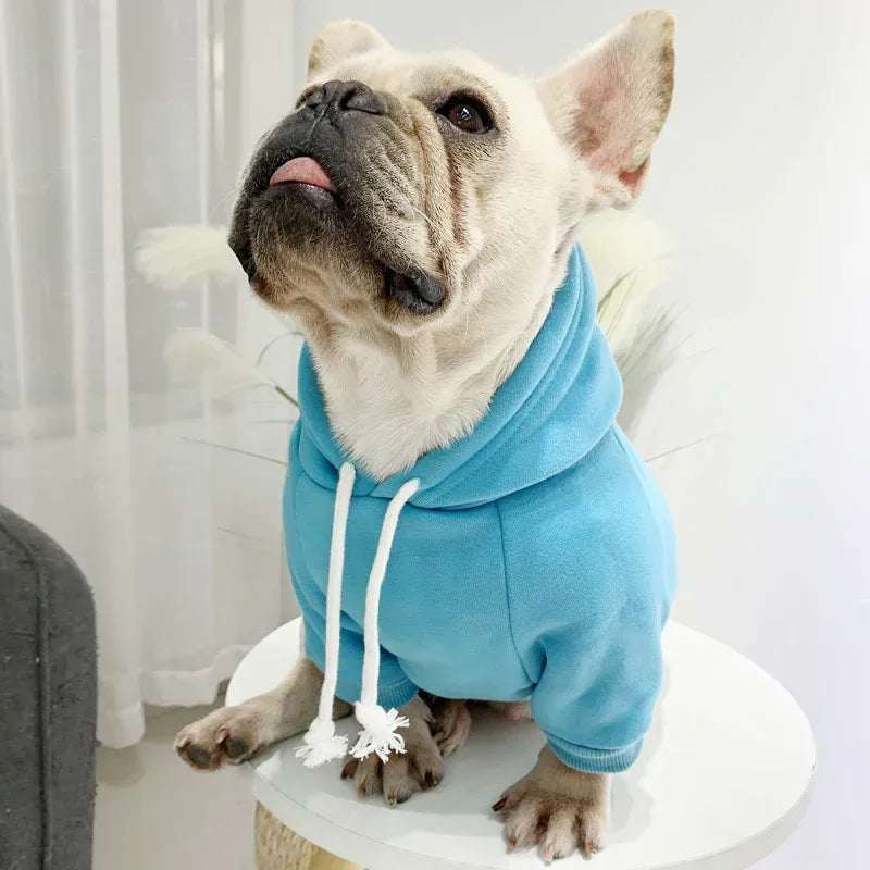Animal de compagnie avec sweat à capuche en polaire