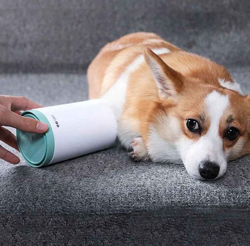 Portable Dog Paw Cleaner Cup with Soft Silicone Brush