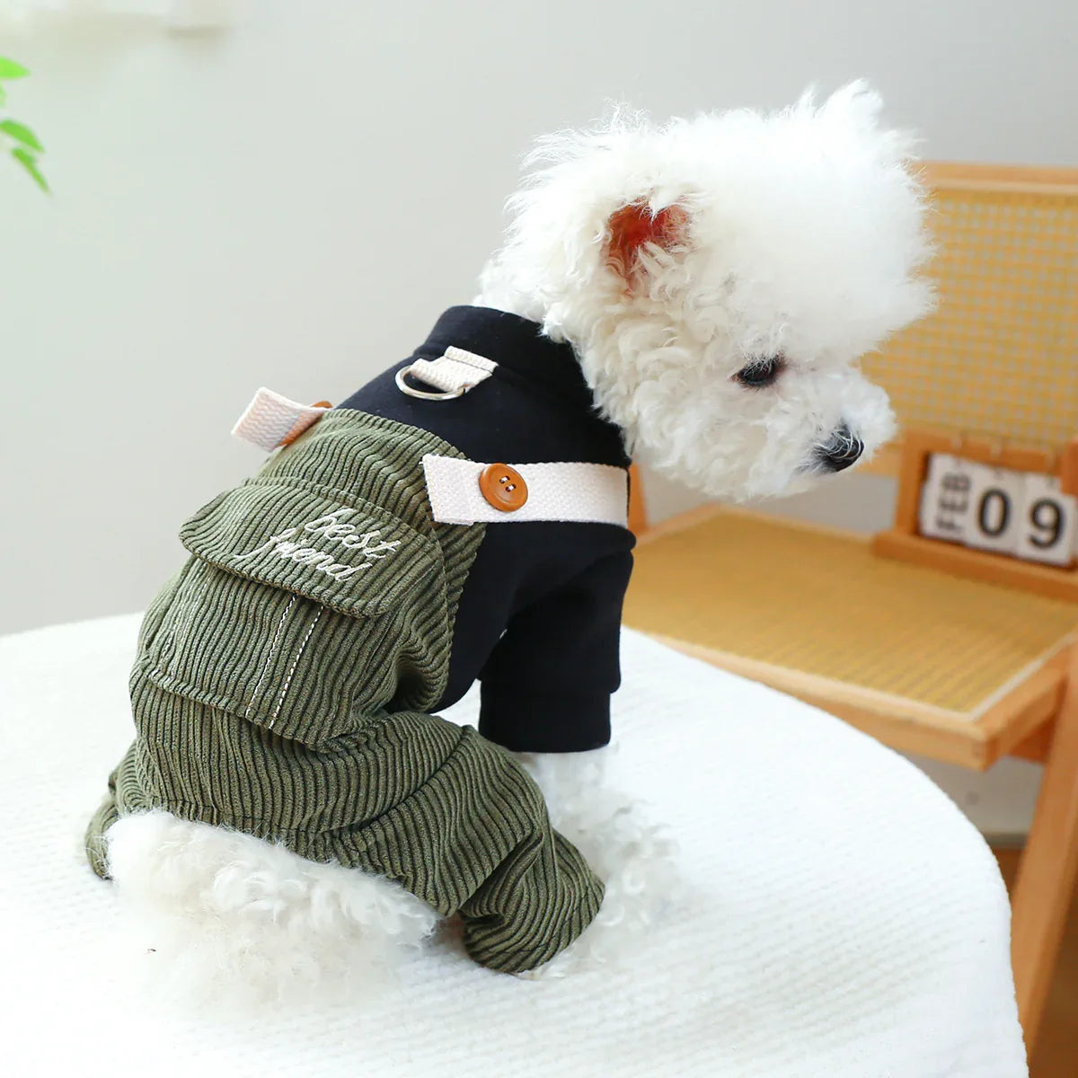 펫 링 강아지 고양이 옷 뉴 코듀로이