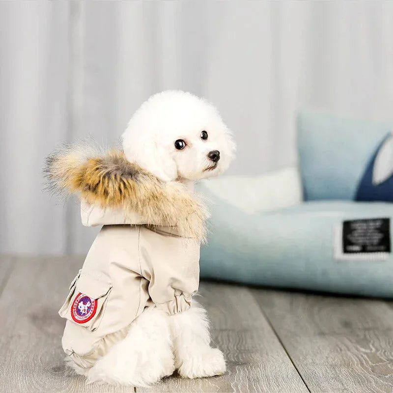 Quần áo chó cưng mũ len quần áo cotton