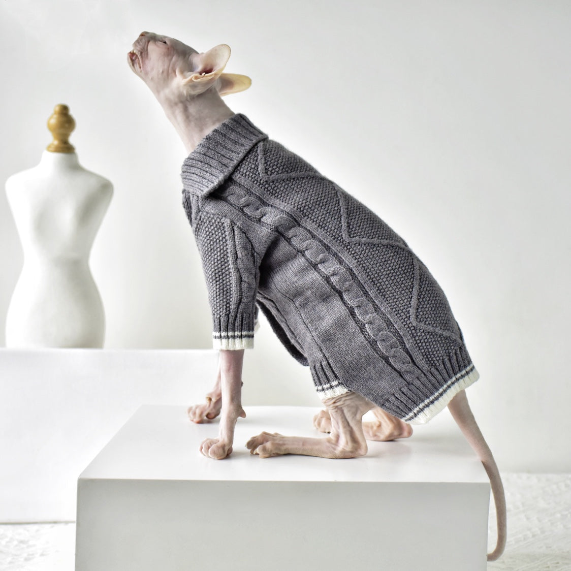 Four Seasons Warm Cardigan Hairless Cat Clothes Sweater