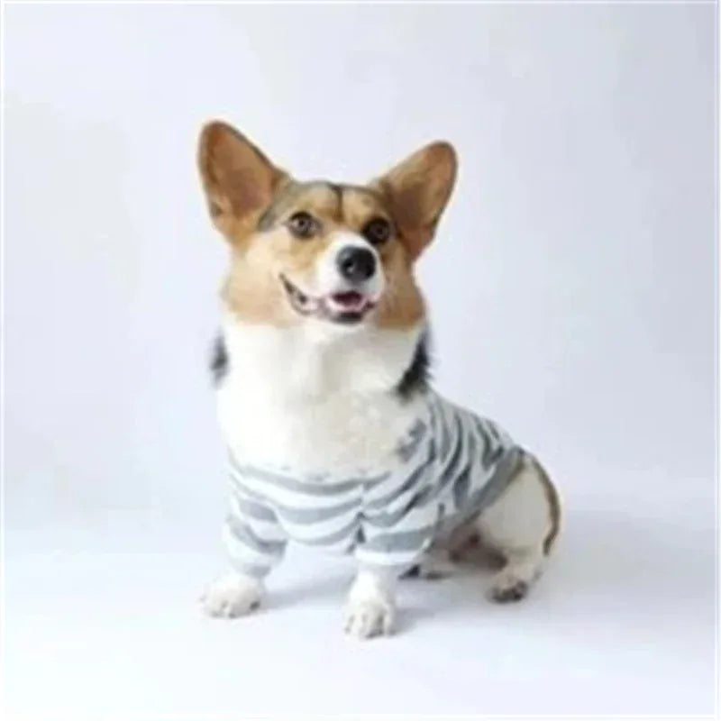 Maglione a righe per animali domestici