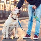 Portable Dog Pooper Scooper with Built-in Waste Bag Dispenser