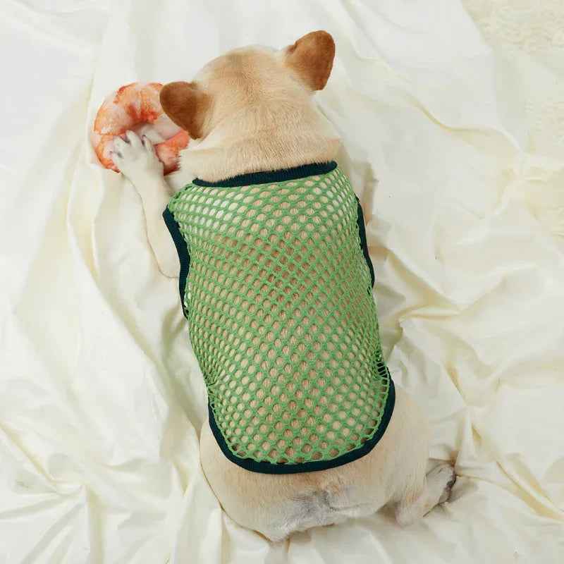 Hollow Mesh Dog Vest Clothing