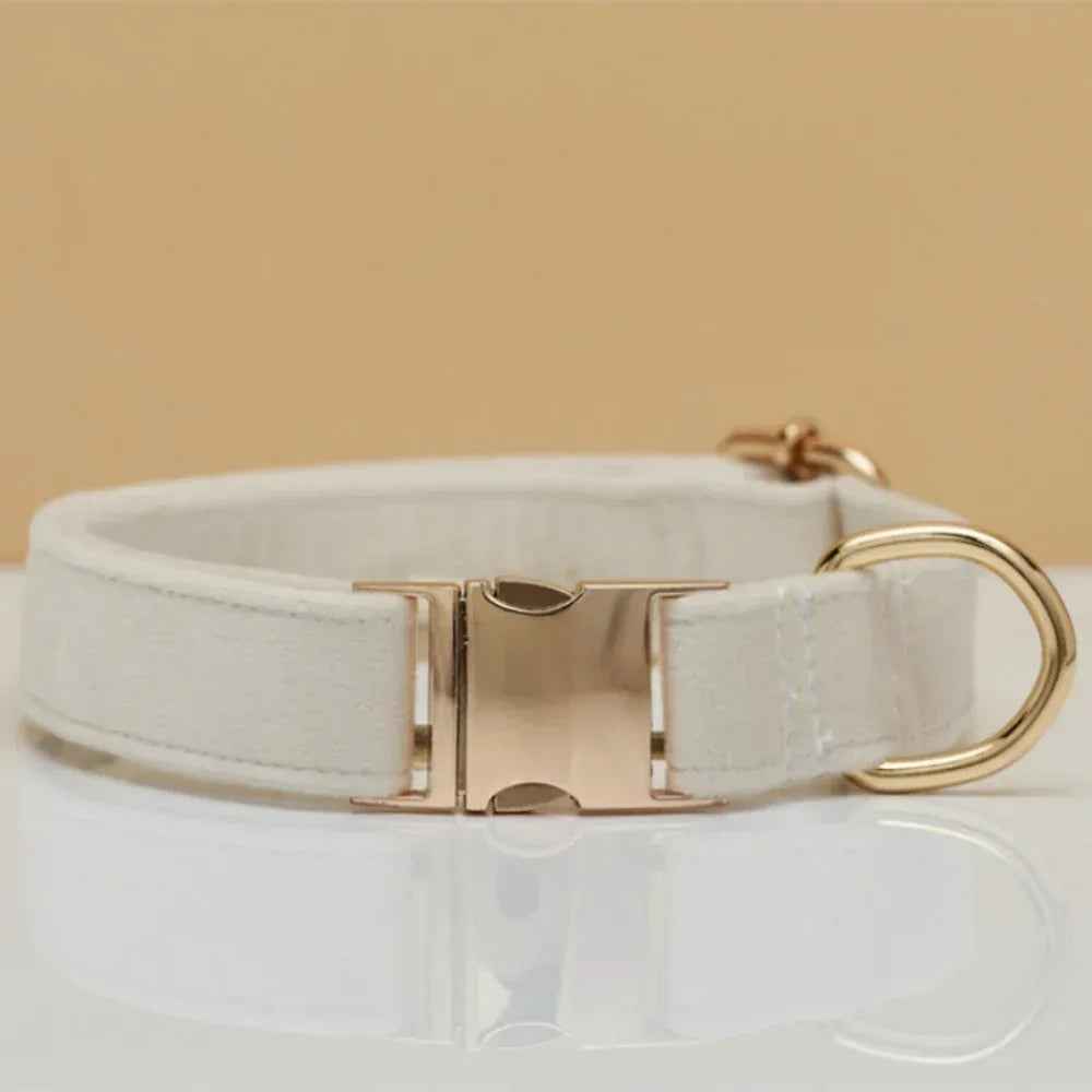 Personalized Velvet Dog Collar & Leash Set with Bow