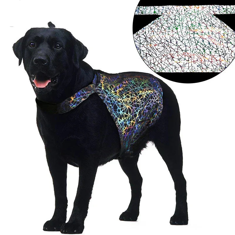 Abbigliamento riflettente per animali domestici