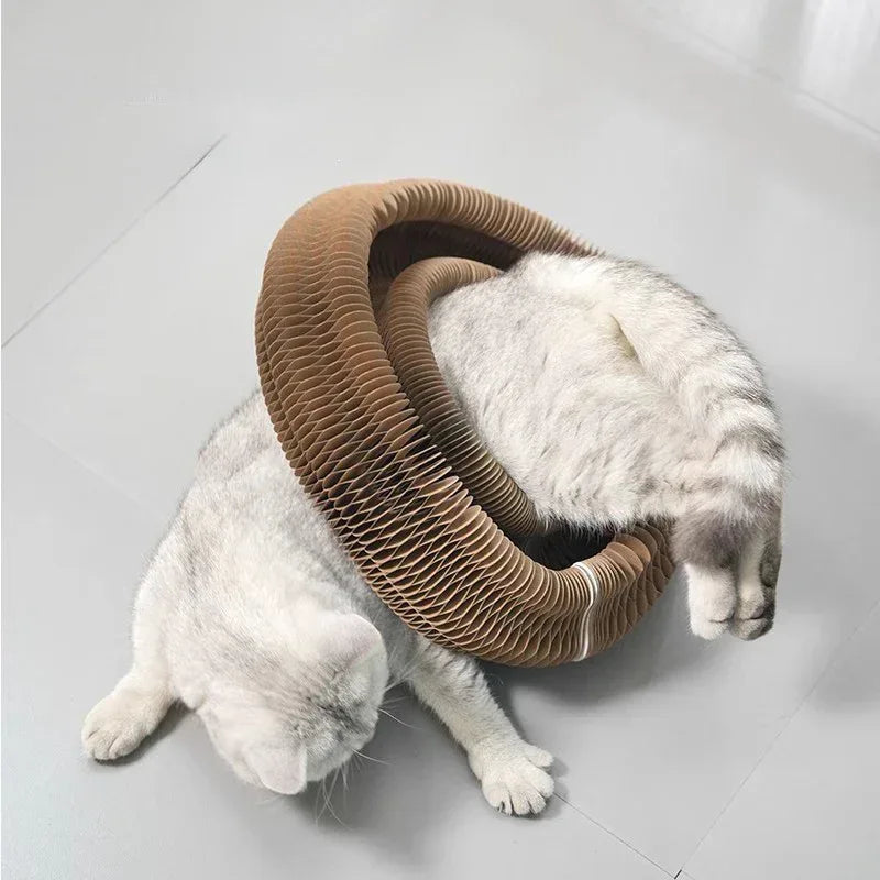 猫咪手风琴玩具 猫咪卷卷球玩具 抓挠垫 魔术风琴猫抓板 猫抓板
