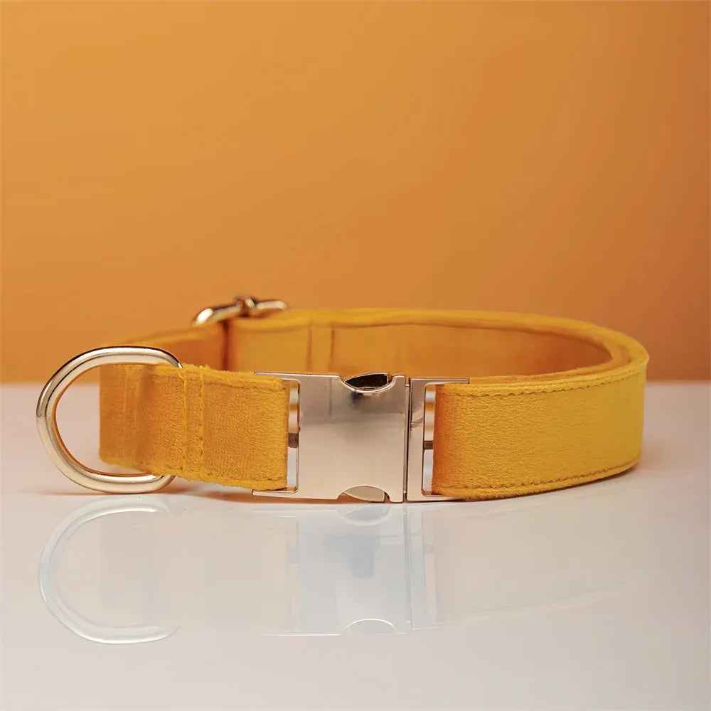 Personalized Velvet Dog Collar & Leash Set with Bow