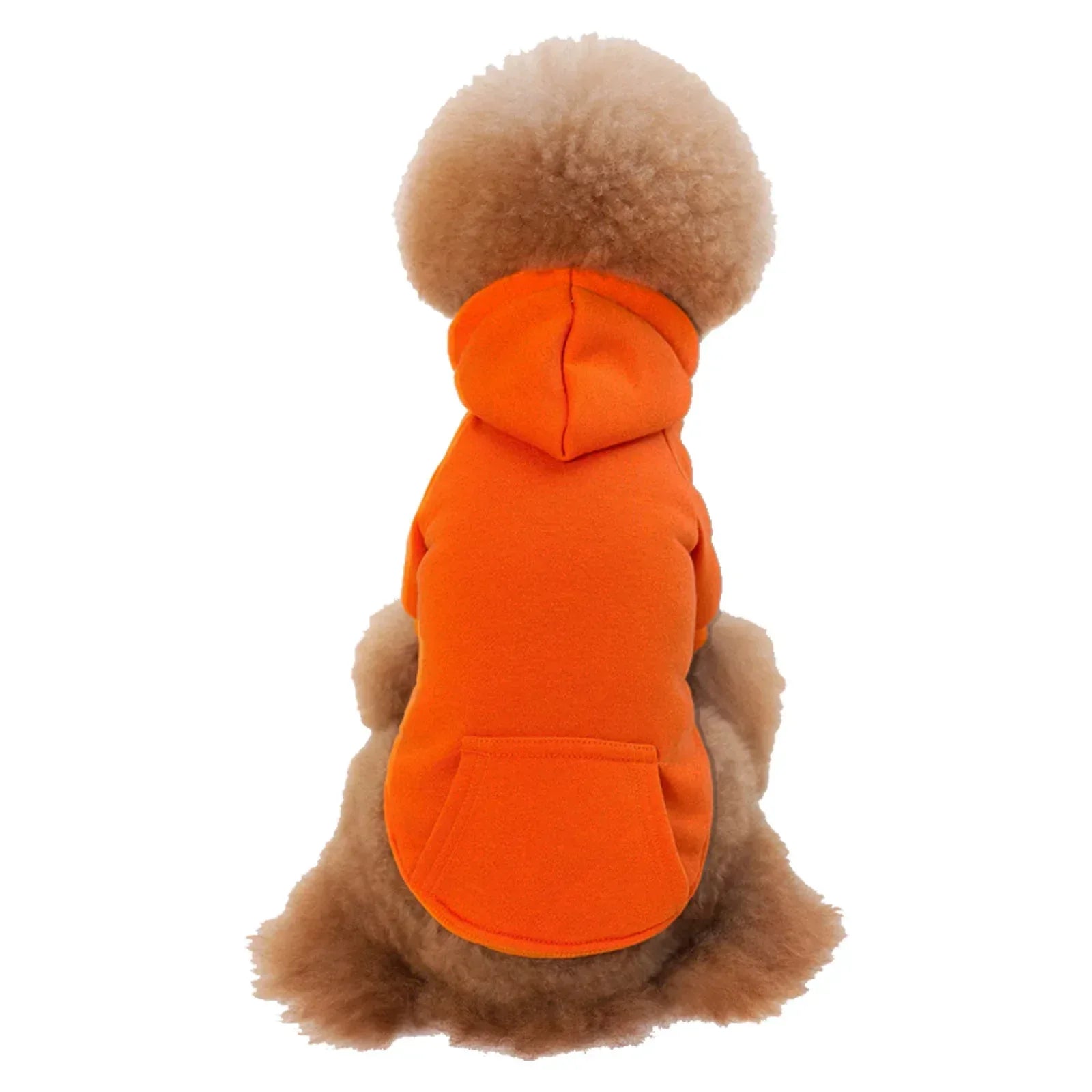 Petits et moyens chiens portant casquettes et vêtements en polaire