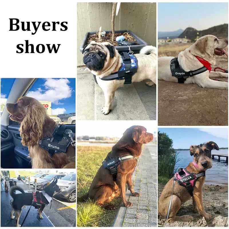 Personalized No-Pull Dog Harness Adjustable Reflective Vest