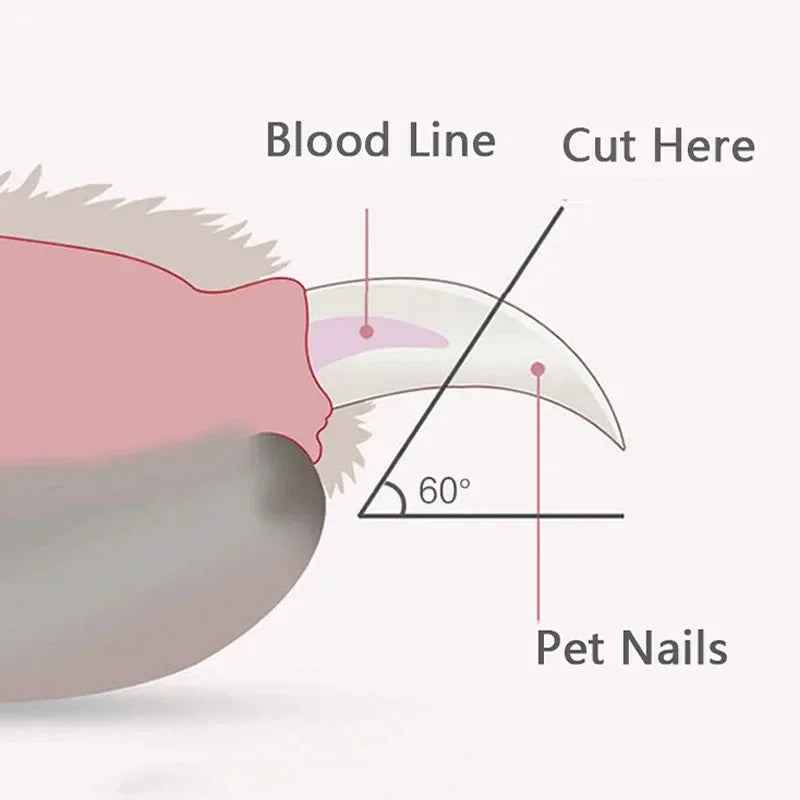 Pet Nail Clippers with LED Light & Electric Nail Grinder